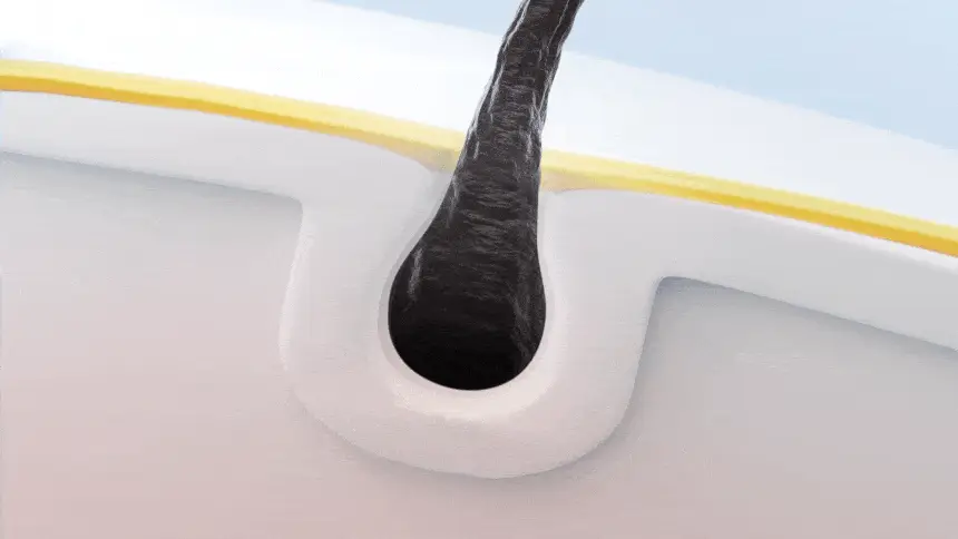 헤드앤숄더 프로페셔널 샴푸 300ml 2종 택 1 [가려운 두피케어/오일컨트롤] 상세페이지 6
